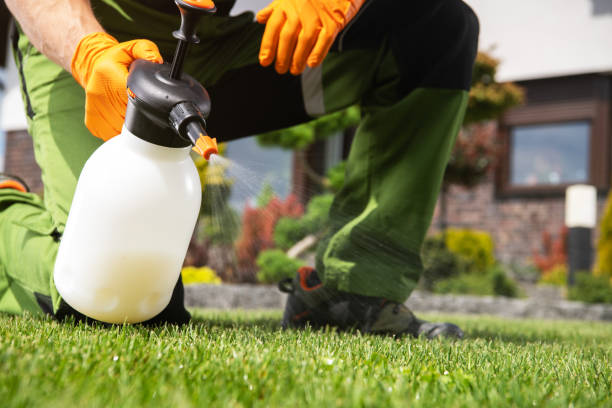 Professional Pest Control in Long Lake, MN