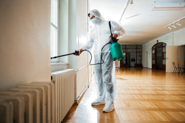 Wasp Removal Services in Long Lake, MN